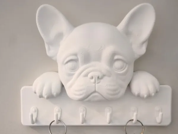 https://makerworld.bblmw.com/makerworld/model/DSM00000002994389/design/674926c0be0cd490.jpeg