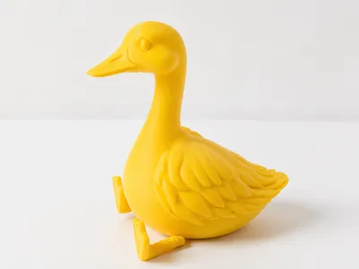 Duck