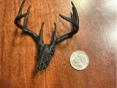 Big White-tailed Buck Mount