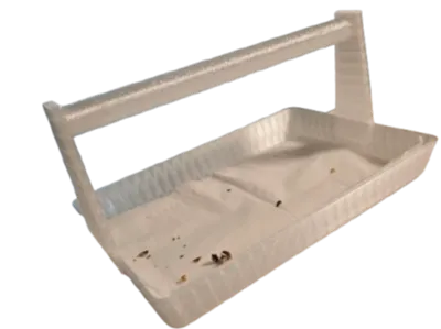 Parrot designated defecation training platform Parrot perch