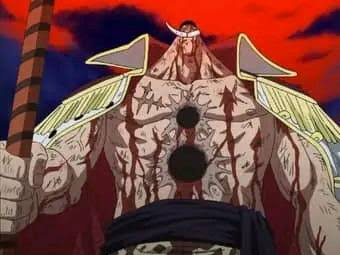 whitebeard chroma canvas