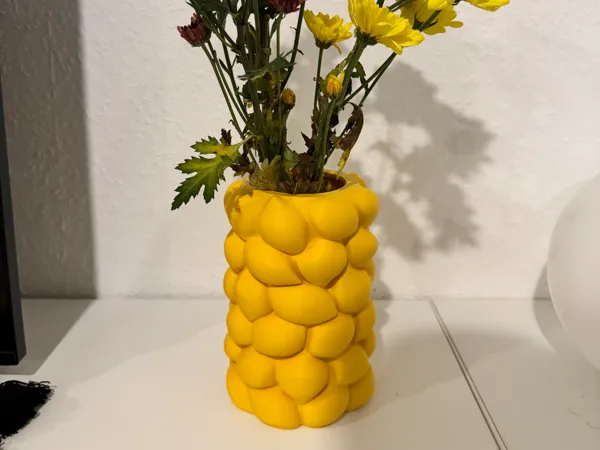 https://makerworld.bblmw.com/makerworld/model/DSM00000003000086/design/5347029aca79fefc.jpeg