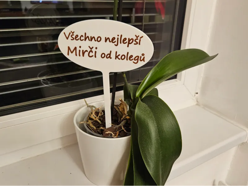 Gift tag with name