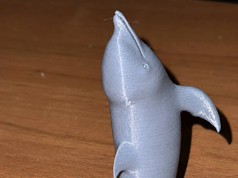 Dolphin love 