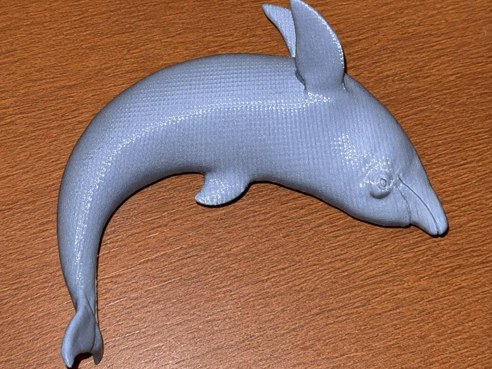 Jumping dolphin