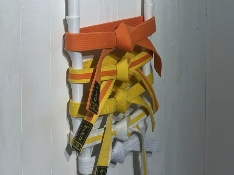 Modular Martial Arts Belt Holder