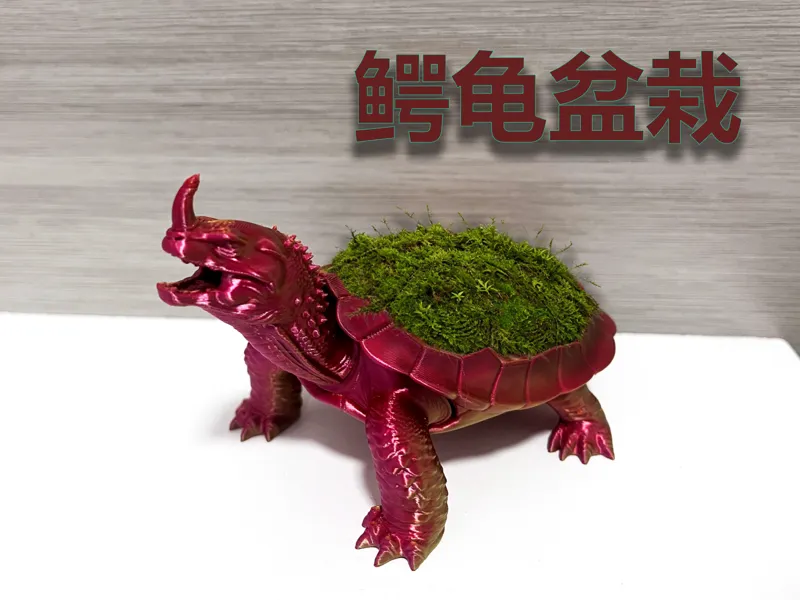 鳄龟盆栽