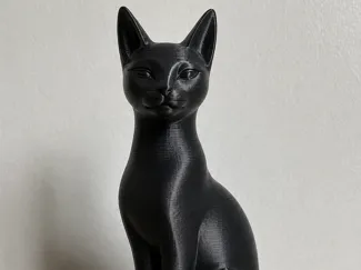 Black cat