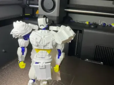 https://makerworld.bblmw.com/makerworld/model/DSM00000003004972/design/b24f24452e4f576f.webp