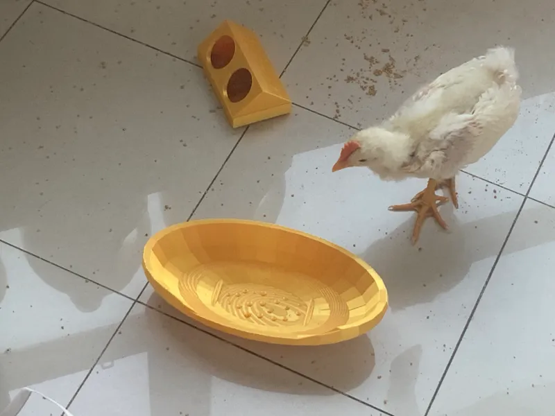 宠物按摩洗澡盆