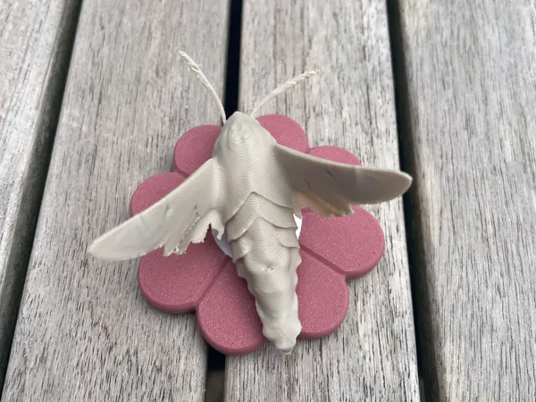 https://makerworld.bblmw.com/makerworld/model/DSM00000003006472/design/c1a0c3b6cedbc958.jpeg