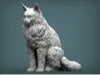Maine Coon