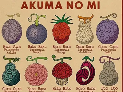 DEVIL FRUIT ONE PIECE