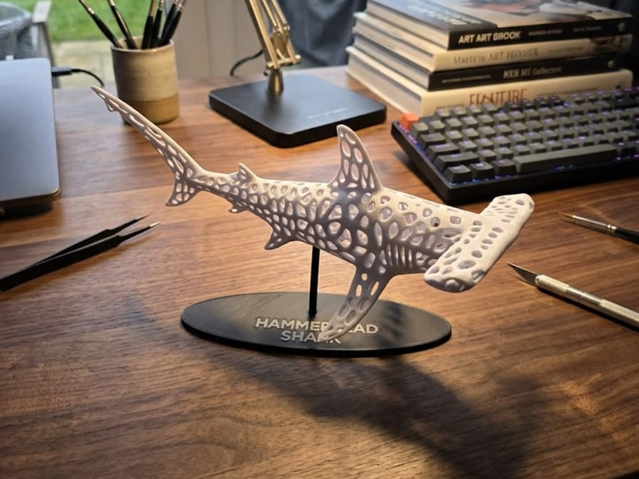 Squalo martello Voronoi