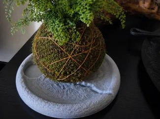 Plato Kokedama Grieta