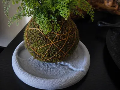 Cracked Kokedama Plate