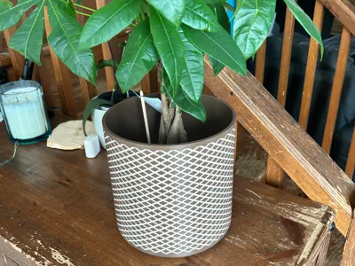 flower pot