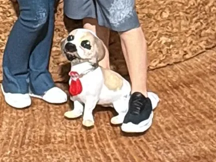 Cachorro 