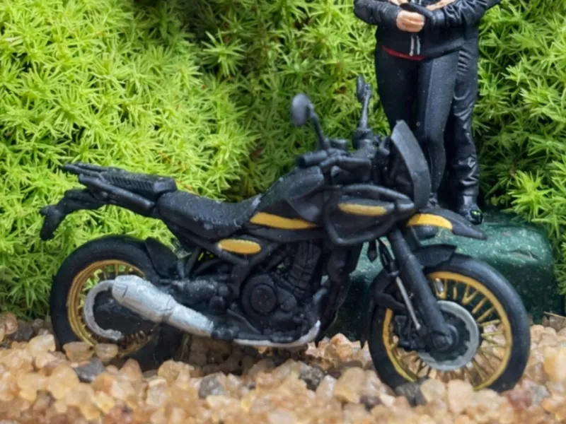 Moto Trilha