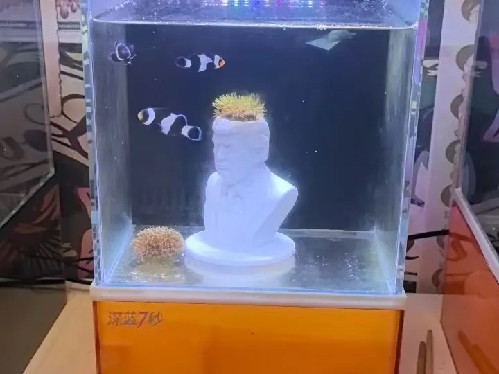 特朗普鱼缸摆件（海葵窝）可沉水
