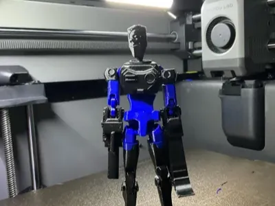 https://makerworld.bblmw.com/makerworld/model/DSM00000003016618/design/586cbb42dd4cc02b.webp
