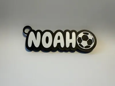 Noah's bag tag 