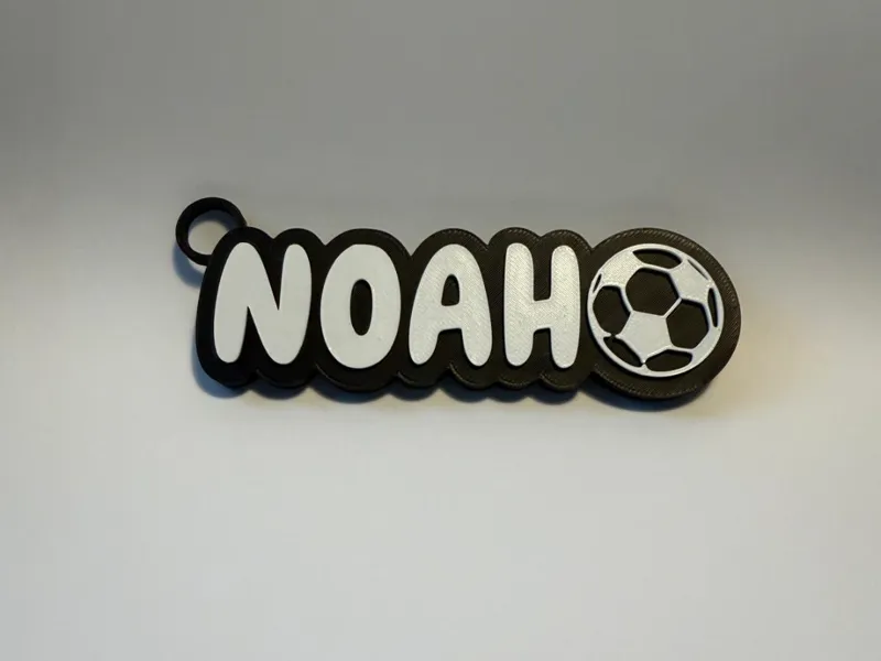 Noah's bag tag 