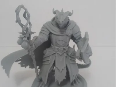 Dragonborn Mage