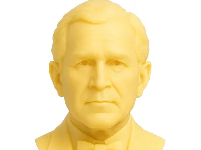 Bush