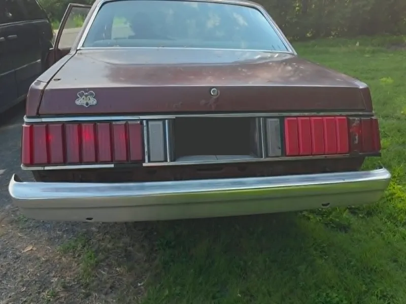 1982 Ford Fairmont Futura Tail Light Lenses