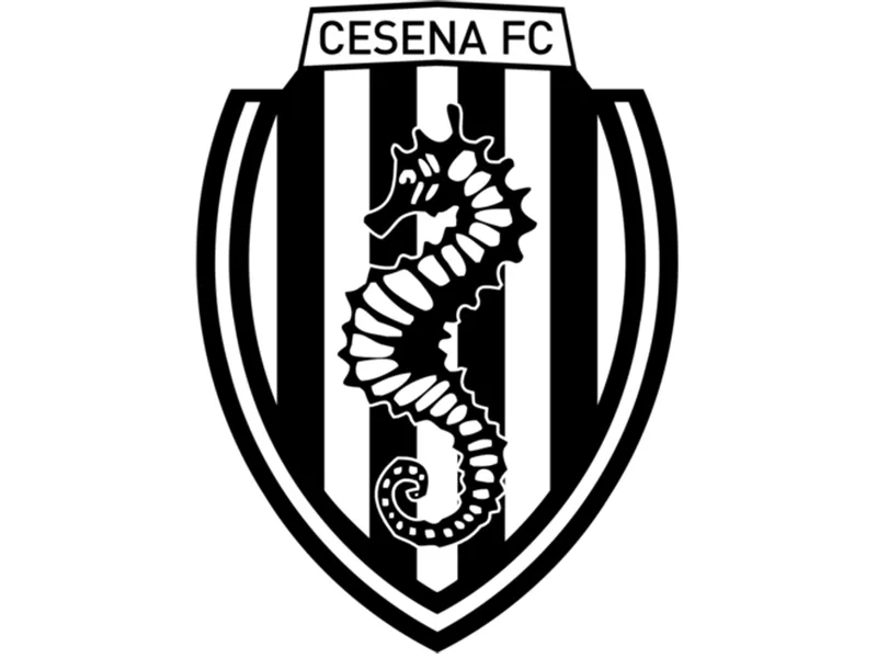 shadow box del Cesena V2
