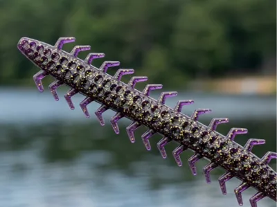 Centipete - Lure mold 