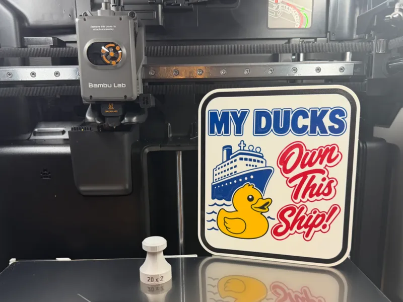 Cruise Cabin Plaque - My Ducks Own This Ship