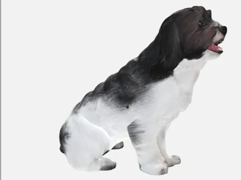 Cachorrinho Fofo