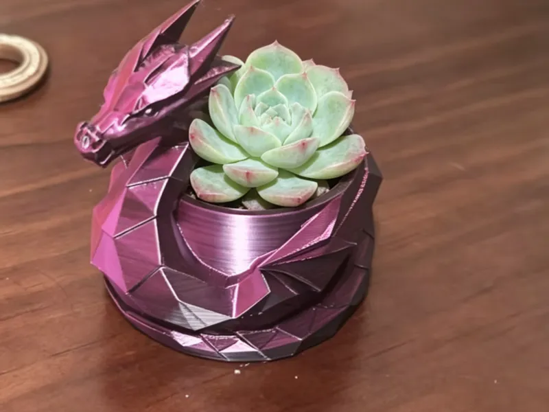 龙晶多肉花盆