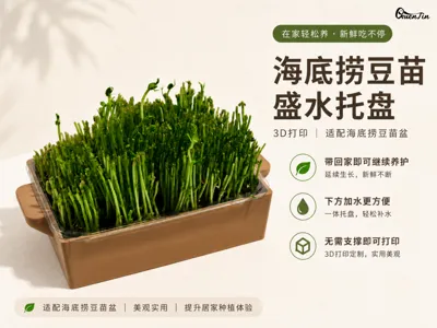 Yuanyi Haidilao Pea Sprout Watering Tray