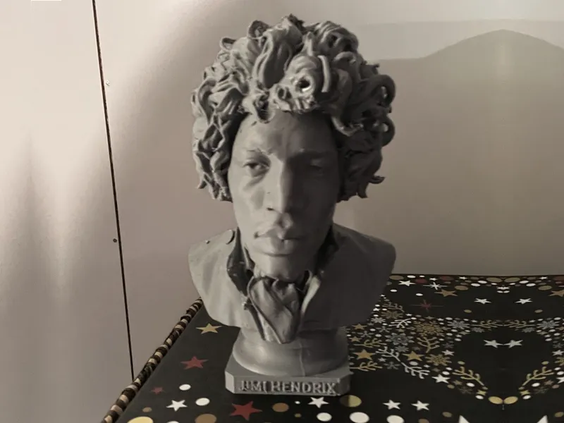 Jimi Hendrix Bust