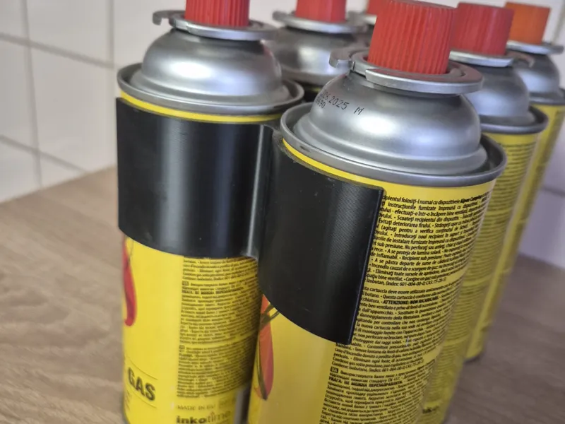 Camping gas organizer holder
