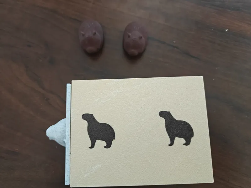 Capybara Lock Box - Magnetic Key Drawer