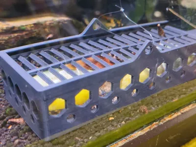 Sturdy Aquarium Snail Trap (Improvement V2)