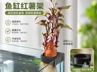 红薯鱼缸组合支架