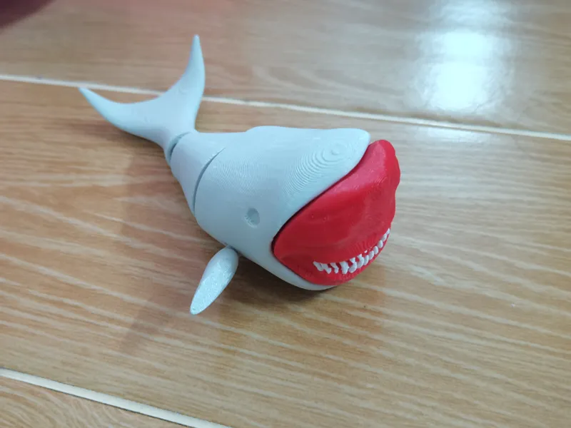 海鲨布鲁闭嘴款