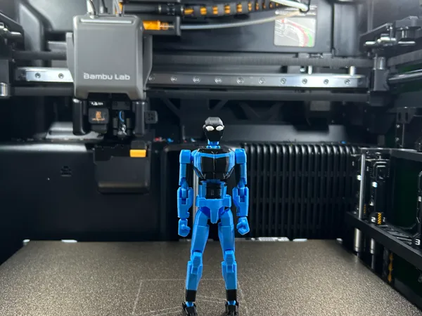https://makerworld.bblmw.com/makerworld/model/DSM00000003036038/design/b394714d8d37c879.jpg