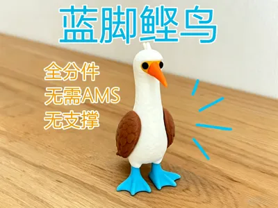 Blue-footed Booby Fully Separable Parts No Supports No AMS Required