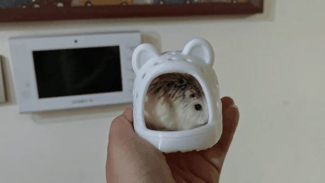 洞洞鞋仓鼠躲避屋
