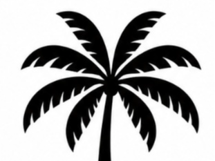 palmera 
