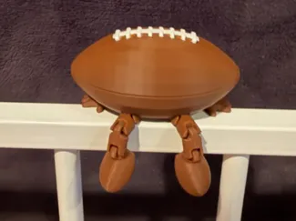 Football Buddy