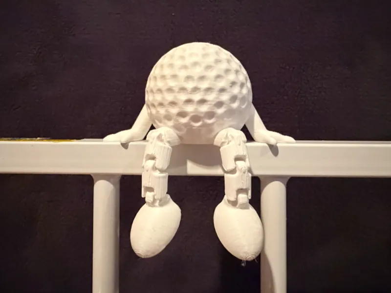 Golf Ball Buddy