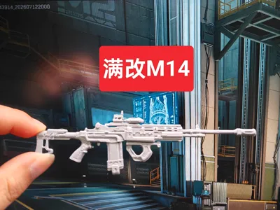 Delta Operations - Fully Modified M14 Marksman Rifle