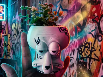 章鱼哥·DIY涂鸦花盆 | Squidward DIY Graffiti Planter